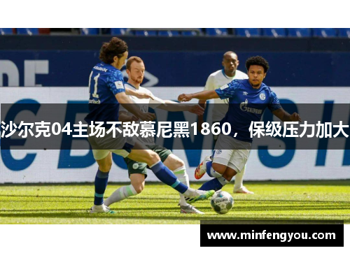 沙尔克04主场不敌慕尼黑1860,保级压力加大